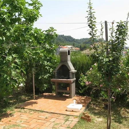 Palit 16356b Mundanije