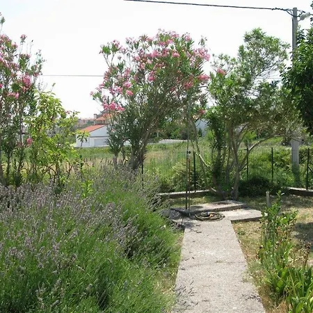 Apartman Palit 16356b *