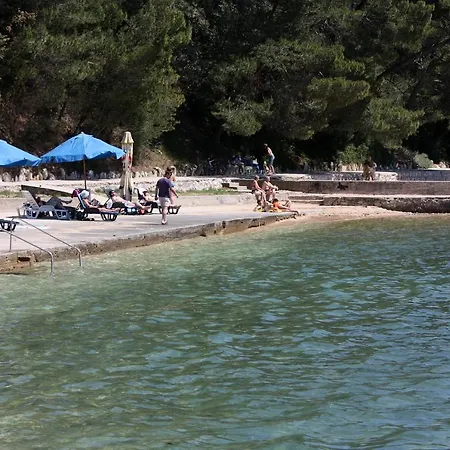 Apartman Palit 16356b Mundanije