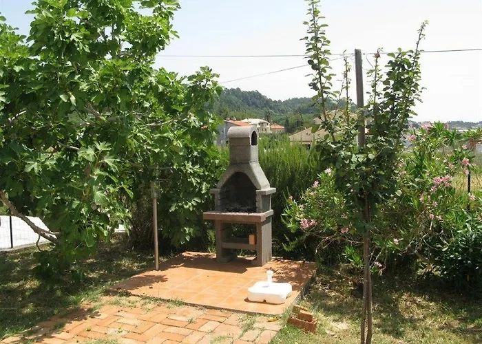 Palit 16356b Mundanije